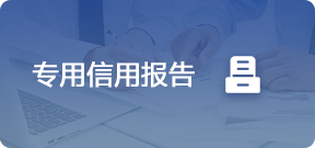 专项信用报告